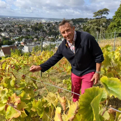 [PODCAST] Des vendanges sur les hauteurs de Rouen