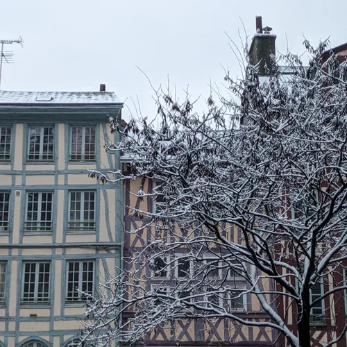 Rouen se réveille sous la neige
