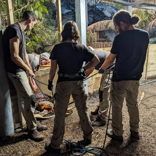 Une capture exceptionnelle à Biotropica
