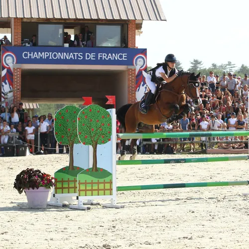 [PODCAST] La Sologne rythmée par le pas du cheval en ce mois de...