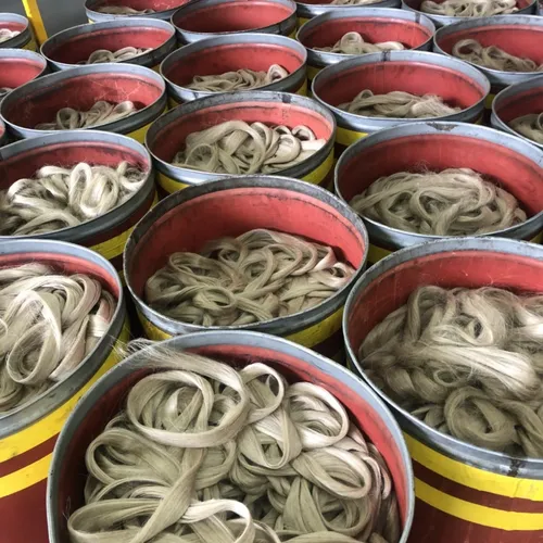 [PODCAST] Une filature de lin s'installe en Normandie