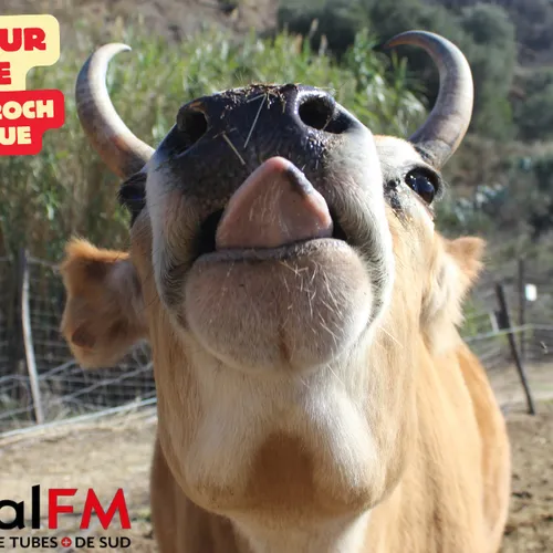 Coup de Coeur Nins Guide : La ferme Saint-Roch de Villemolaque pour...