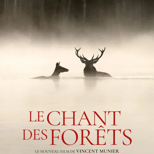 Le Chant des forêts