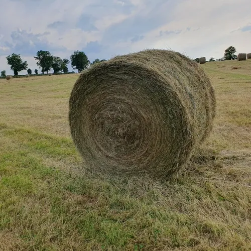 L'effet de la météo sur la nature