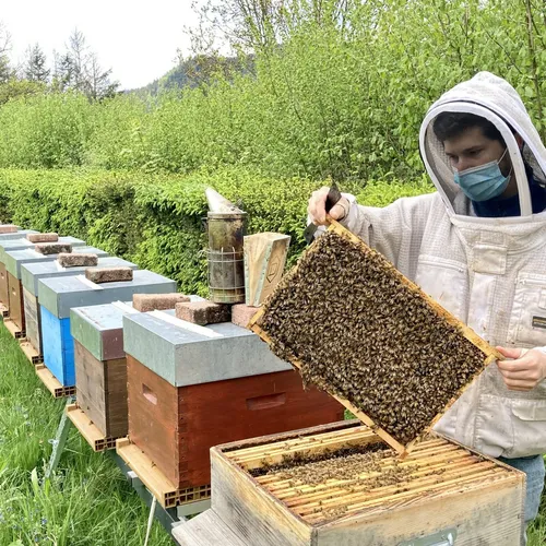 JOURNAL DU VENDREDI 27 AOUT ( MIDI )