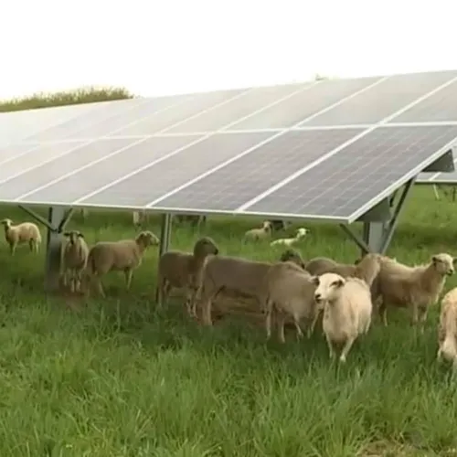 Journal du mercredi 26 mars (soir)