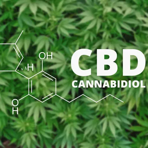 JOURNAL DU VENDREDI 21 JANVIER ( SOIR )