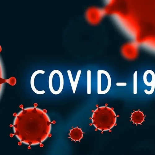 Journal du mardi 1er février (midi)