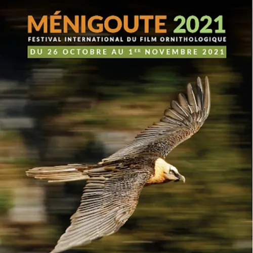 JOURNAL DU LUNDI 25 OCTOBRE ( SOIR )