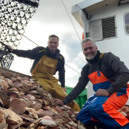 Journal du mercredi 7 décembre (midi)