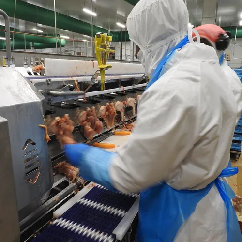 Journal du lundi 02 décembre  (midi)