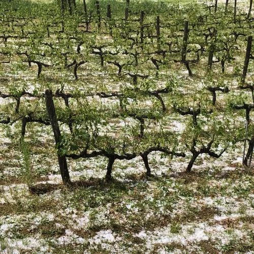 Journal du mardi 7 juin (midi)