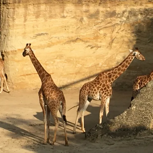 Journal du samedi 18 septembre (matin)