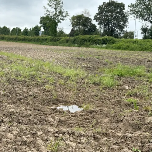 La pluie toujours la pluie... 