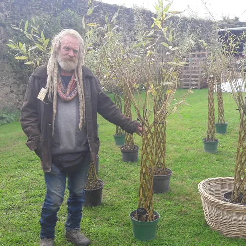 JOURNAL DU LUNDI 04 OCTOBRE ( MIDI )