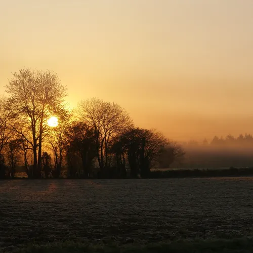 Journal du mardi 20 juin (midi)