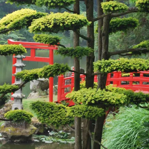 JOURNAL DU JEUDI 11 AOÛT