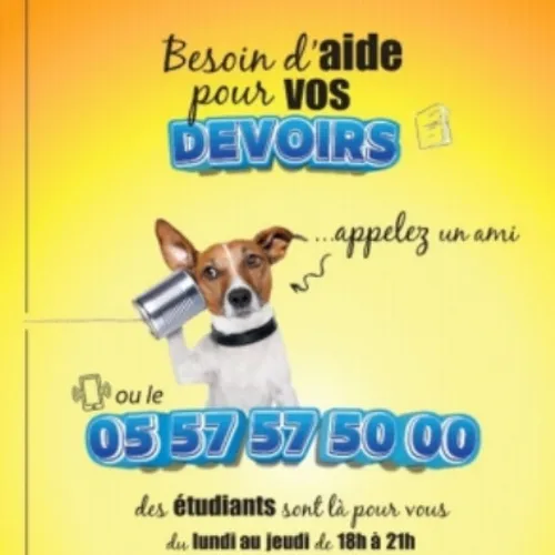 JOURNAL DU JEUDI 11 JANVIER ( MIDI )