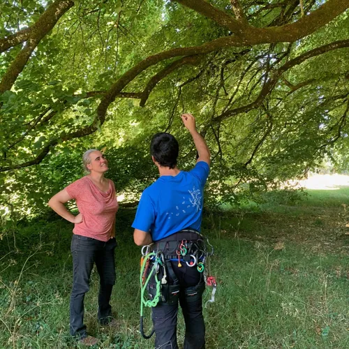 JOURNAL DU MARDI 14 JUIN ( MIDI )