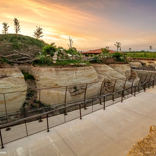 JOURNAL DU VENDREDI 04 AOÛT ( MIDI )