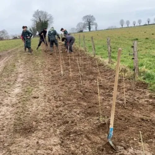 JOURNAL DU JEUDI 30 JANVIER ( MIDI )