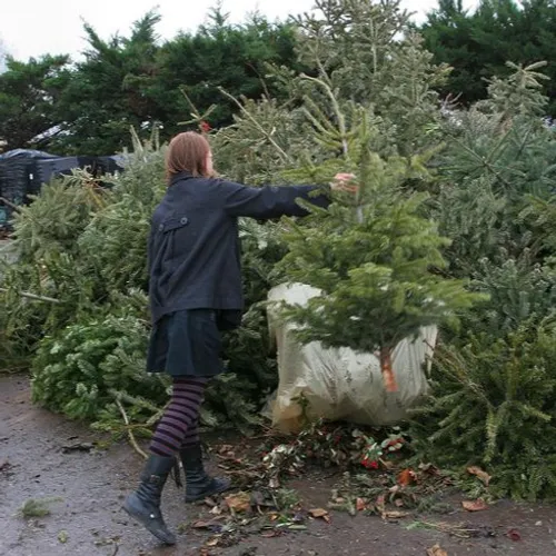 JOURNAL DU LUNDI 02 JANVIER ( SOIR )