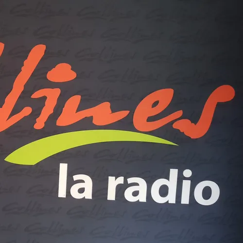 JOURNAL DU MARDI 05 NOVEMBRE ( MIDI )