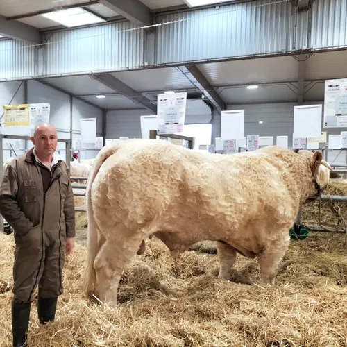 JOURNAL DU VENDREDI 08 NOVEMBRE ( MIDI )