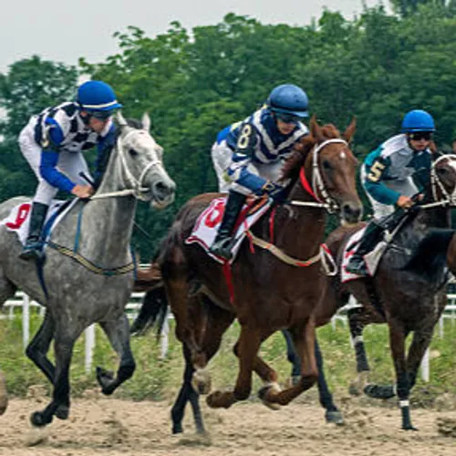 JOURNAL DU VENDREDI 26 MAI ( SOIR )