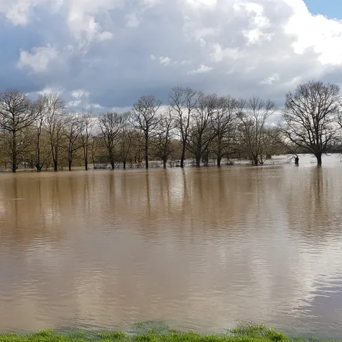 JOURNAL DU JEUDI 09 JANVIER ( SOIR )