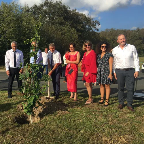 JOURNAL DU MARDI 03 OCTOBRE ( MIDI )