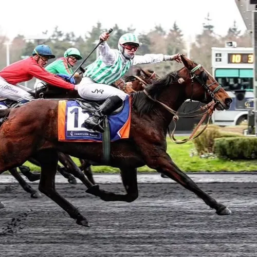 JOURNAL DU MARDI 23 JANVIER ( MIDI )