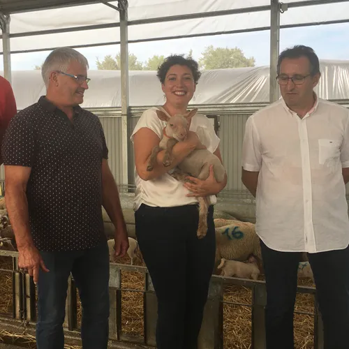 JOURNAL DU MARDI 19 SEPTEMBRE ( MIDI )