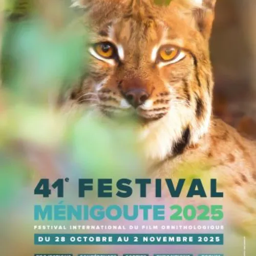 JOURNAL DU LUNDI 27 OCTOBRE ( SOIR )