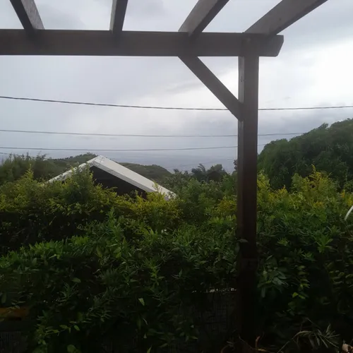 JOURNAL DU VENDREDI 28 FEVRIER ( MIDI )