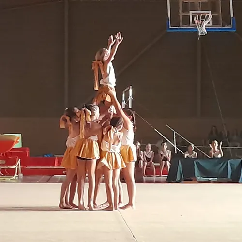 JOURNAL DU MARDI 28 NOVEMBRE ( MIDI )