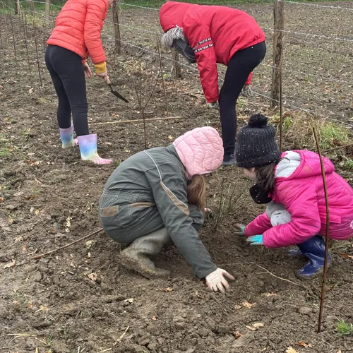Journal du jeudi 29 janvier (soir)