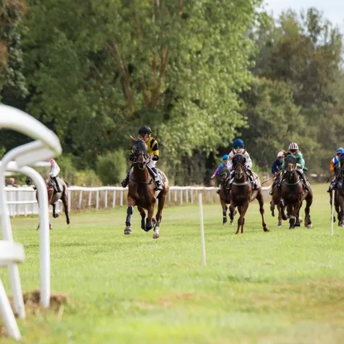 JOURNAL DU VENDREDI 22 AOÛT ( MIDI )