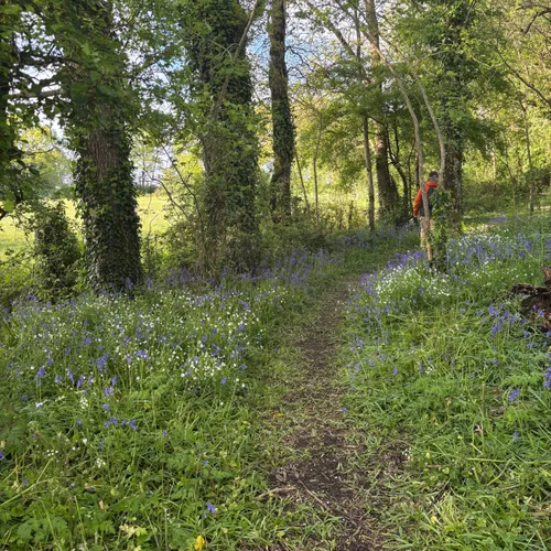JOURNAL DU LUNDI 28 AVRIL ( SOIR )