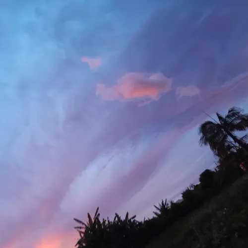 Journal du lundi 15 janvier (soir)