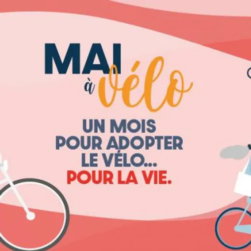 JOURNAL DU MARDI 30 AVRIL ( SOIR )