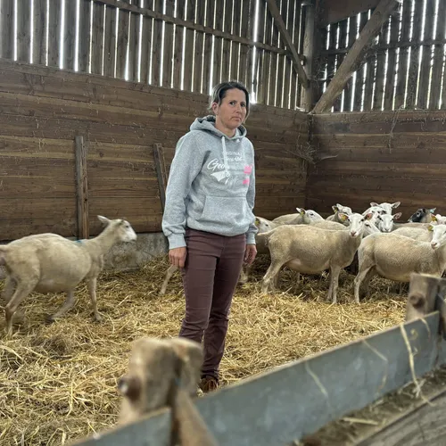 JOURNAL DU MARDI 04 JUIN ( MIDI )