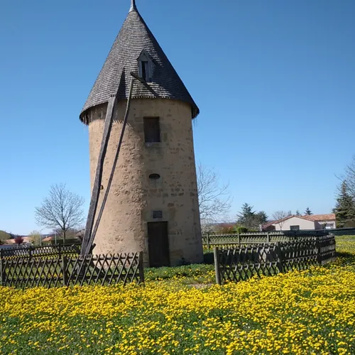 JOURNAL DU MARDI 18 AVRIL ( MIDI )