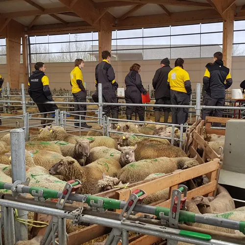 JOURNAL DU MERCREDI 01 FEVRIER ( SOIR )