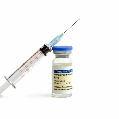 JOURNAL DU 26 SEPTEMBRE ( MIDI )