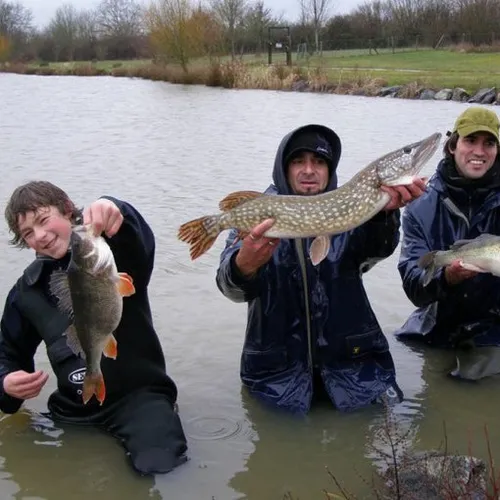 JOURNAL DU MERCREDI 02 AOÛT ( MIDI )