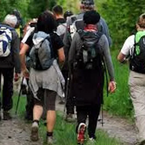 JOURNAL DU MERCREDI 25 SEPTEMBRE ( MIDI )