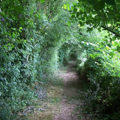 JOURNAL DU JEUDI 03 AOÛT ( MIDI )