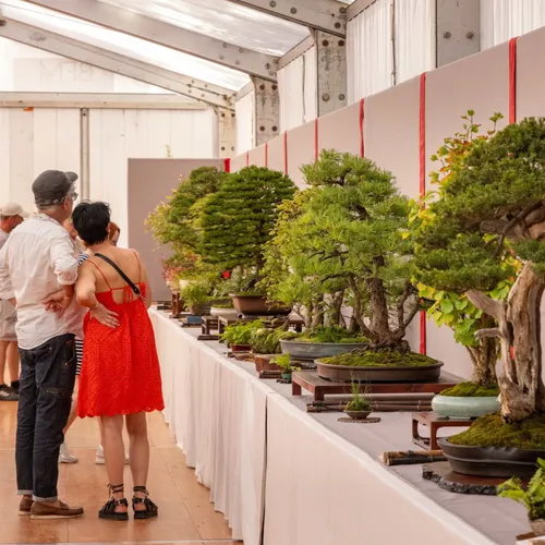 JOURNAL DU SAMEDI 14 SEPTEMBRE