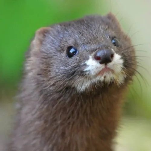 JOURNAL DU JEUDI 28 AOÛT ( MIDI )